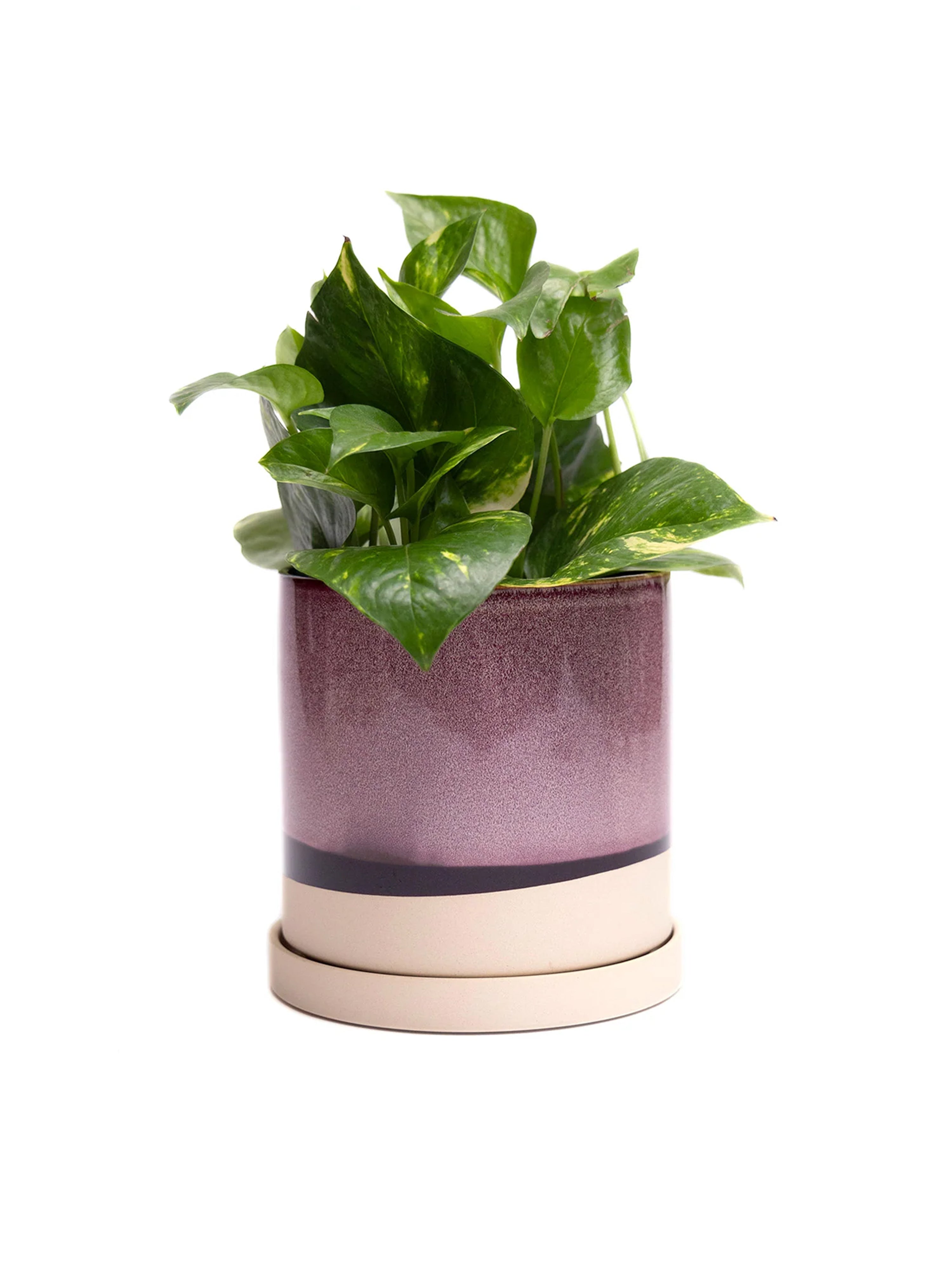 Burgundy Ceramic Plant Pot and Saucer